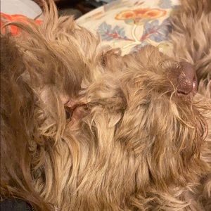 Meet your Posher, Jeremy